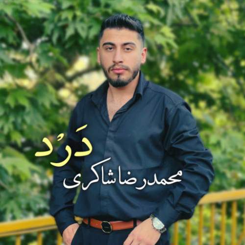 محمدرضا شاکری - درد