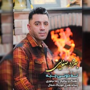 بهزاد صفایی - ته دونی چیه